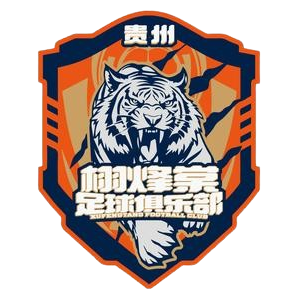 贵州栩烽棠队徽